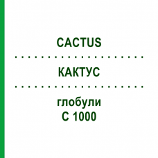КАКТУС (CACTUS) C 1000 глобули 1,5 г - Гомеопатія GUDJONS