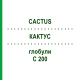 КАКТУС (CACTUS) C 200 глобули 0,5 г - Гомеопатія GUDJONS
