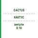 КАКТУС (CACTUS) D 10 ампулы 10x1 мл - Гомеопатия WALA HEILMITTEL