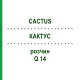 КАКТУС (CACTUS) Q 14 розчин 15 мл - Гомеопатія GUDJONS