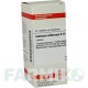 КАДМІУМ СУЛЬФУРИКУМ (CADMIUM SULFURICUM) D 12 таблетки 80 шт - Гомеопатія DHU