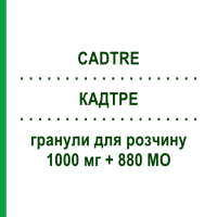 КАДТРЕ (CADTRE) 1000 мг + 880 МЕ гранулы для раствора 30 шт - Кальция соли, Другое NEW RESEARCH