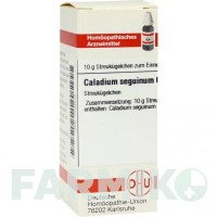 КАЛАДІУМ (CALADIUM) C 6 глобули 10 г - Гомеопатія DHU