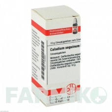 КАЛАДІУМ (CALADIUM) D 6 глобули 10 г - Гомеопатія DHU