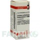 КАЛЬЦІУМ КАРБОНІКУМ (CALCIUM CARBONICUM) D 1000 глобули 10 г - Гомеопатія DHU