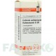 КАЛЬЦІУМ КАРБОНІКУМ (CALCIUM CARBONICUM) D 20 глобули 10 г - Гомеопатія DHU