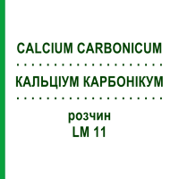 КАЛЬЦИУМ КАРБОНИКУМ (CALCIUM CARBONICUM) LM 11 раствор 15 мл - Гомеопатия GUDJONS