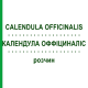 КАЛЕНДУЛА ОФФІЦИНАЛІС (CALENDULA OFFICINALIS) розчин 50 мл - Гомеопатія HANOSAN
