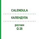 КАЛЕНДУЛА (CALENDULA) Q 28 розчин 15 мл - Гомеопатія GUDJONS