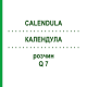 КАЛЕНДУЛА (CALENDULA) Q 7 розчин 15 мл - Гомеопатія GUDJONS