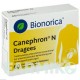 КАНЕФРОН (CANEPHRON) таблетки 60 шт - Растительные вещества BIONORICA