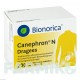 КАНЕФРОН (CANEPHRON) таблетки 200 шт - Растительные вещества BIONORICA
