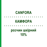 КАМФОРА (CANFORA) водно-спиртовой 10% раствор кожный 100 мл - Активные вещества ZETA FARMACEUTICI