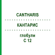 КАНТАРИС (CANTHARIS) C 12 глобули 1,5 г - Гомеопатія GUDJONS