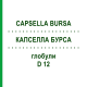 КАПСЕЛЛА БУРСА (CAPSELLA BURSA) D 12 глобули 10 г - Гомеопатия DHU