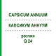 КАПСИКУМ АННУУМ (CAPSICUM ANNUUM) Q 24 розчин 15 мл - Гомеопатія GUDJONS