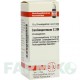 КАРДИОСПЕРМУМ (CARDIOSPERMUM) C 200 глобули 10 г - Гомеопатия DHU