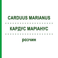 КАРДУС МАРІАНУС (CARDUUS MARIANUS) розчин 50 мл - Гомеопатія HANOSAN