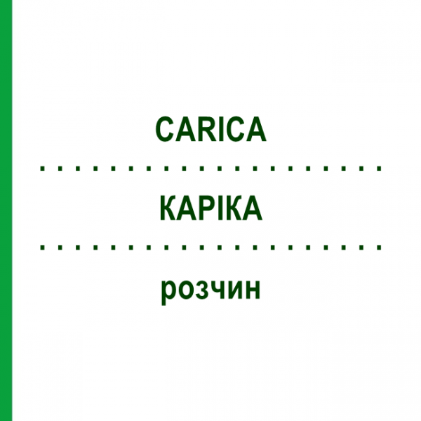 КАРИКА (CARICA) раствор 50 мл - Гомеопатия DHU