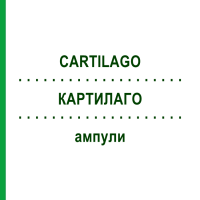 КАРТИЛАГО (CARTILAGO) ампулы 100 шт - Гомеопатия BIOLOGISCHE HEILMITTEL HEEL