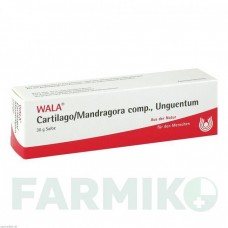 КАРТИЛАГО (CARTILAGO) мазь 30 г - Гомеопатія WALA HEILMITTEL