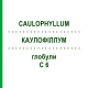 КАУЛОФІЛЛУМ (CAULOPHYLLUM) C 6 глобули 1,5 г - Гомеопатія GUDJONS