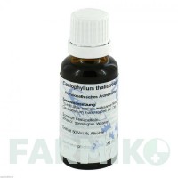 КАУЛОФИЛЛУМ (CAULOPHYLLUM) D 6 раствор 20 мл - Гомеопатия HANOSAN