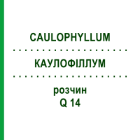 КАУЛОФИЛЛУМ (CAULOPHYLLUM) Q 14 раствор 15 мл - Гомеопатия GUDJONS