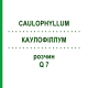 КАУЛОФІЛЛУМ (CAULOPHYLLUM) Q 7 розчин 15 мл - Гомеопатія GUDJONS