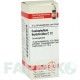 КАУЛОФІЛУМ ТАЛІКТРОЇДЕС (CAULOPHYLLUM THALICTROIDES) C 12 глобули 10 г - Гомеопатія DHU
