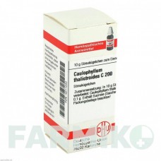 КАУЛОФІЛУМ ТАЛІКТРОЇДЕС (CAULOPHYLLUM THALICTROIDES) C 200 глобули 10 г - Гомеопатія DHU