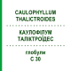 КАУЛОФИЛЛУМ ТАЛИКТРОИДЕС (CAULOPHYLLUM THALICTROIDES) C 30 глобули 10 г - Гомеопатия SPAGYRA