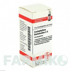 КАУЛОФІЛУМ ТАЛІКТРОЇДЕС (CAULOPHYLLUM THALICTROIDES) C 6 глобули 10 г - Гомеопатія DHU