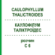 КАУЛОФІЛУМ ТАЛІКТРОЇДЕС (CAULOPHYLLUM THALICTROIDES) C 6 розчин 20 мл - Гомеопатія DHU