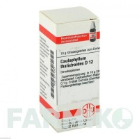 КАУЛОФИЛЛУМ ТАЛИКТРОИДЕС (CAULOPHYLLUM THALICTROIDES) D 12 глобули 10 г - Гомеопатия DHU