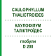 КАУЛОФІЛУМ ТАЛІКТРОЇДЕС (CAULOPHYLLUM THALICTROIDES) D 200 глобули 10 г - Гомеопатія DHU