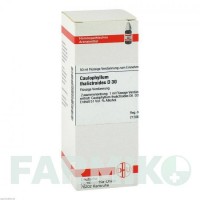 КАУЛОФІЛУМ ТАЛІКТРОЇДЕС (CAULOPHYLLUM THALICTROIDES) D 30 розчин 50 мл - Гомеопатія DHU