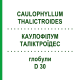 КАУЛОФИЛЛУМ ТАЛИКТРОИДЕС (CAULOPHYLLUM THALICTROIDES) D 30 глобули 10 г - Гомеопатия SPAGYRA