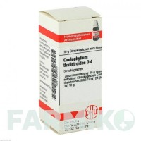 КАУЛОФИЛЛУМ ТАЛИКТРОИДЕС (CAULOPHYLLUM THALICTROIDES) D 4 глобули 10 г - Гомеопатия DHU
