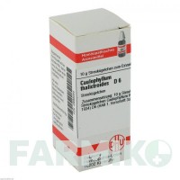 КАУЛОФІЛУМ ТАЛІКТРОЇДЕС (CAULOPHYLLUM THALICTROIDES) D 6 глобули 10 г - Гомеопатія DHU