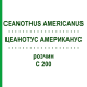 ЦЕАНОТУС АМЕРИКАНУС (CEANOTHUS AMERICANUS) C 200 раствор 20 мл - Гомеопатия DHU