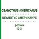 ЦЕАНОТУС АМЕРИКАНУС (CEANOTHUS AMERICANUS) D 3 раствор 50 мл - Гомеопатия DHU