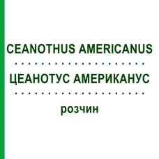 ЦЕАНОТУС АМЕРИКАНУС (CEANOTHUS AMERICANUS) раствор 50 мл - Гомеопатия DHU