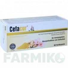 ЦЕФАКУР (CEFACUR) капсулы 60 шт - Активные вещества CEFAK
