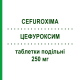 ЦЕФУРОКСИМ (CEFUROXIMA) 250 мг таблетки делимые 12 шт - Цефуроксим SANDOZ