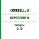 ЦЕРЕБЕЛЛУМ (CEREBELLUM) D 10 ампули 10x1 мл - Гомеопатія WALA HEILMITTEL