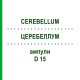ЦЕРЕБЕЛЛУМ (CEREBELLUM) D 15 ампули 10x1 мл - Гомеопатія WALA HEILMITTEL