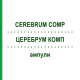ЦЕРЕБРУМ КОМП (CEREBRUM COMP) ампули 50x1 мл - Гомеопатія WALA HEILMITTEL