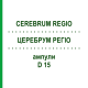 ЦЕРЕБРУМ РЕГІО (CEREBRUM REGIO) D 15 ампули 10x1 мл - Гомеопатія WALA HEILMITTEL
