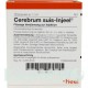 ЦЕРЕБРУМ СУИС (CEREBRUM SUIS) ампулы 10 шт - Гомеопатия BIOLOGISCHE HEILMITTEL HEEL